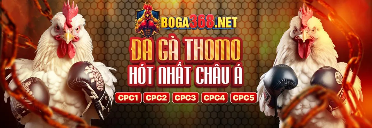 Đặc quyền VIP độc quyền Bwing Win